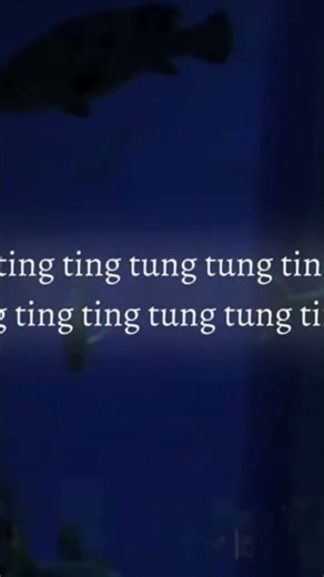 Ting ting tung tung ting..