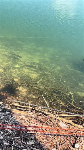 津風呂湖でのバス釣り体験
