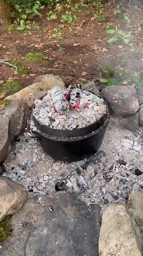 Dutch Oven Bread Over Live Fire 🔥 Making bread from scratch is so satisfying, baking it over a campfire is even more so. #homemade #tutorial #recipe