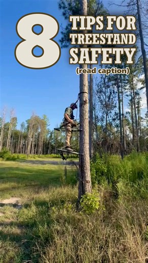 316K views · 809 reactions | Tips below Deer season is approaching...