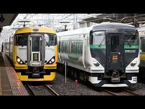 【E257系同士の並び】E257系500番台千 マリNB-01編成 わかしお・さざなみ50周年記念号 市川着発・E257系5500番台 宮オオOM-51編成 特急新宿さざなみ2号 市川通過【4K】