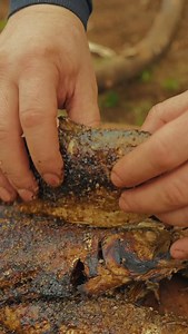 O nebunie de peste #outdoorcooking #asmr #fish | Outdoor Cooking Adventure
