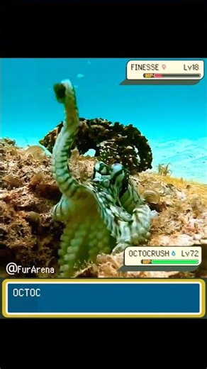 Octopus Pokemon used Tentacle Punch on Fish! - FurArena #pokemonmeme #shorts