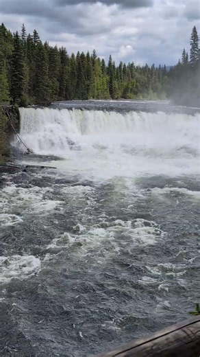 Dawson falls, Clearwater British Columbia Canada 🇨🇦 #vanlife #nature #explore #travel #fyp