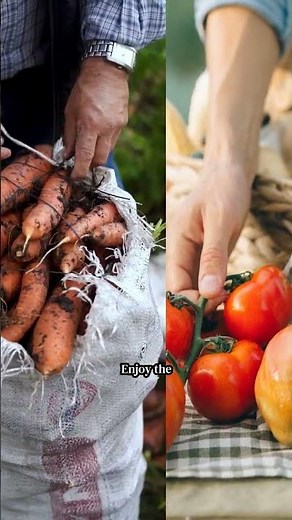 Profitable Vegetable Farming Ideas for Beginners