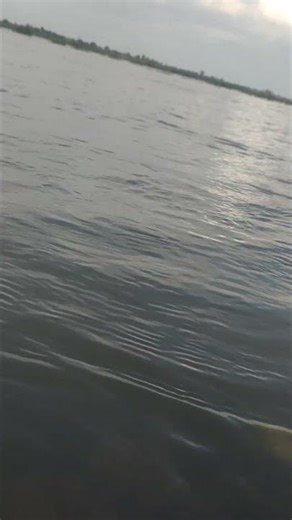 #song jal hi jiwan hai 🌾🌾🌾🌾🌾🌷🌷🌷🌷💐💐💐💐💐💐🌹🌹🌹🌹