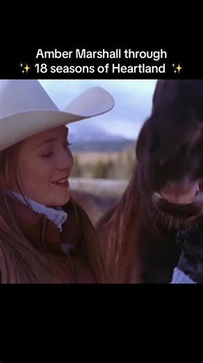 Shaun Johnston on TikTok