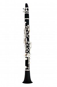 [Hot Item] Cheap Clarinet/ Hard Rubber Body Tone a Clarinet