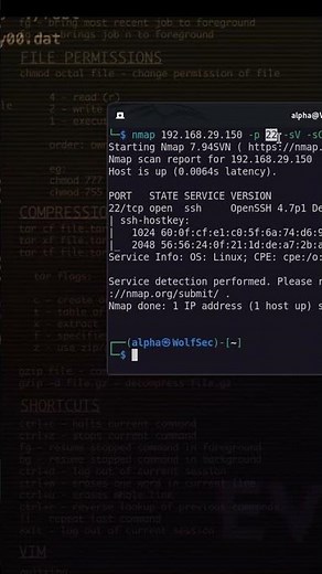 Exploit SSH via Brute Force || YT Short #securityvulnerability #coding #metasploitframework