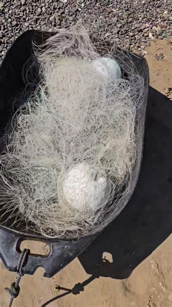 Quick Mullet Netting Mission with Vincent and a bunch of kids. Check out the new merch @ www.muddyfeet.co.nz #roadtrip #fishing #seafood #netting #food | Muddy Feet