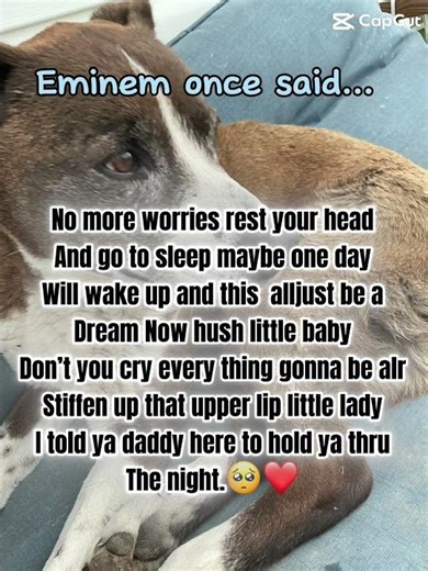 Eminem once said😢😢😢