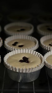 Download Time lapse cup cake baking in the oven for free