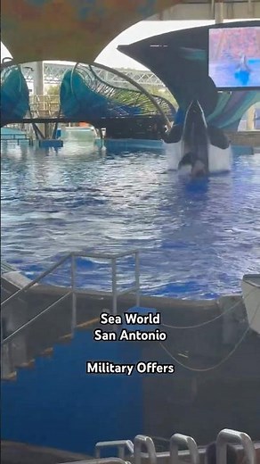 Sea World San Antonio #seaworld #Seaworldsanantonio