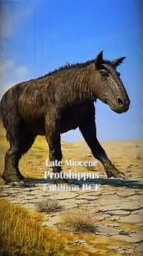 The Evolution of Horses!⭐️🔥#evolution #horse #animals #fossils #history #timeline #dinosaur