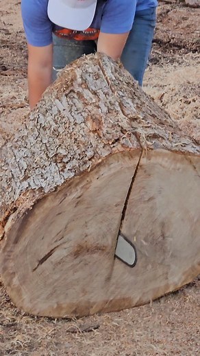 2.7K views · 78 reactions | Friday Evening Hustle! The Orders Keep Coming In Like Clockwork #firewood #woodyard #eastonmade Twin Rivers Wood Products | Marlin Petre | Facebook