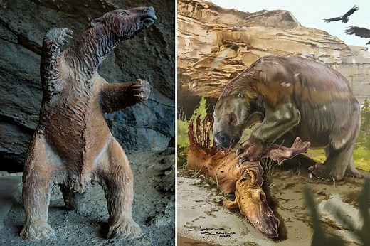 Giant sloth was a 'bloodthirsty meat-eater' and may have snacked on humans