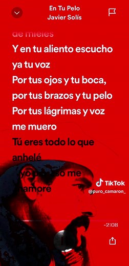 Karaoke Javier Solis - En Tu Pelo: Letra Completa y Romántica