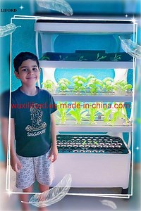 [Hot Item] Indoor Greenhouse Vertical Planting Hydroponics Growing System