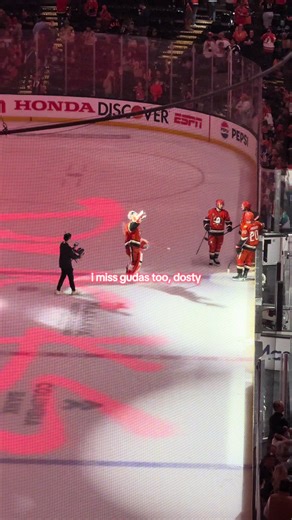 how many sleeps until gudas is back 😐 | hockey