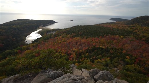 Acadia National Park Camping Guide - Best Campgrounds, Seasons, and Permits - Apple Daily