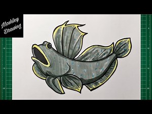 How to Draw a Mudskipper