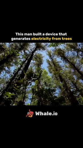 This man built a device that generates electricity... from trees.. #unitedstates #trees | Mind Matrix
