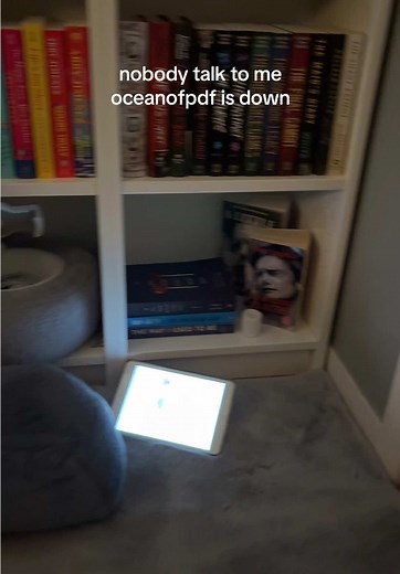 ¿Qué pasó con Ocean of PDF?