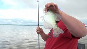 Here's how to get more accurate when you're Livescope crappie fishing. | Crappie Masters