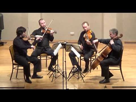 Haydn - String Quartet, Op. 1 No. 1 - ZAGREB QUARTET