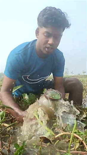 Traditional Village Fishing | Smart Fishing Skills in Rural Life | Fishing Rinku