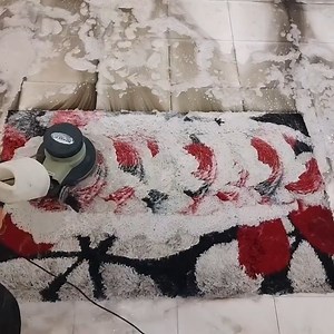 Carpet cleaning satisfying rug cleaning ASMR | Tabitha Murray