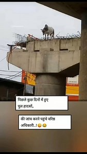 3.4K views · 608 reactions | SITE VISIT  CAL 7056237000 #house_map7000 #Home. #InteriorDesign. #Deco. #Decor. #HomeDecor. #Decoration. #Interiors. #HomeStyle. | मकानों के नक्शे सतनाली | Facebook