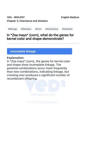 Corn Genetics Kernel Color Shape Inheritance Explained