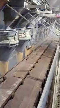 Have you ever seen a grain train being loaded? #train #grain #locomotive #railway #loading