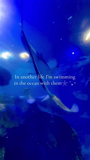 Swimming with Sharks: A Fantasy Adventure