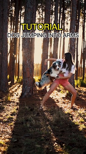 Teaching Your Dog to Jump Into Your Arms: Step-by-Step Guide