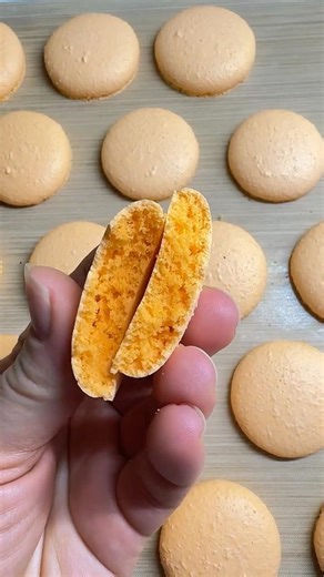 Macarons shells French merengue on Albumin