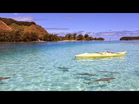 Alien: Isolation Ending