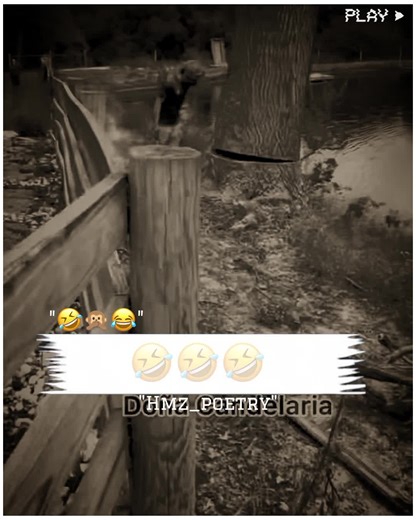 The Importance of Fair Video Reviewing on TikTok