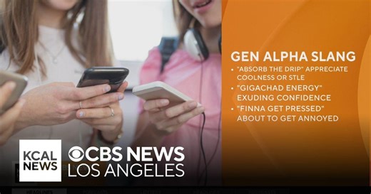 Language expert discusses Gen Alpha slang