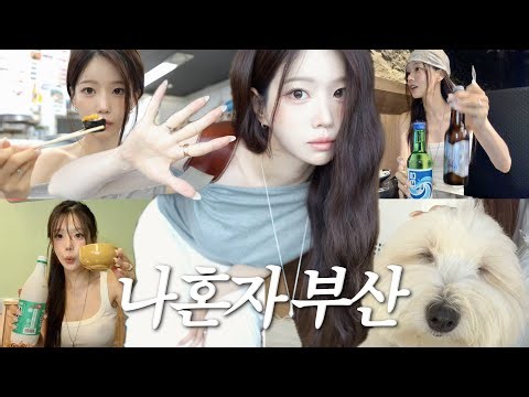 Solo in Busan🏖️ Best Solo Dining & Drinks for Introverts | Perfect 2D1N Guide😜