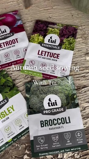 Tui Garden & Home on TikTok