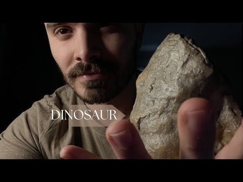 ASMR Tapping On Fossils and More
