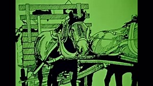 3.2K views · 68 reactions | The 1972 theme song of the Quebec Nordiques WHA hockey team. credit: NFB | Old Canada Series | Facebook