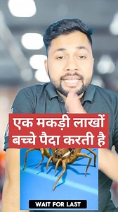 A Spider Gives Birth to Millions of Babies 🕷️" #Nature#Spider #InterestingFacts #NatureFacts #Babies#Facts #AmazingNature #WeirdButTrue #Wildlife #AnimalFacts | Mukesh Maurya