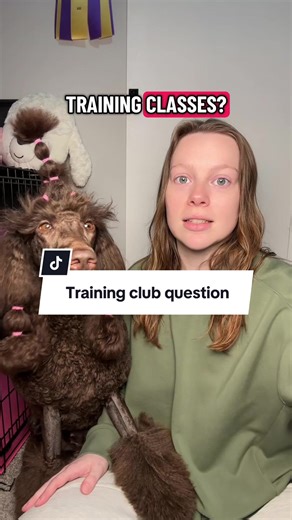 Allowing In-Season Dogs in Training Classes