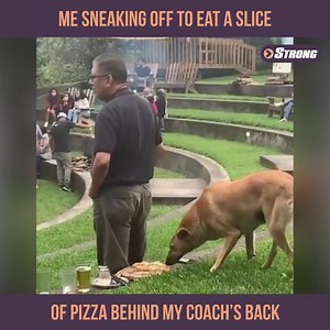 2.6K views · 3 comments | When you can't resist the temptation of a cheat meal ⁠ Please DM for credit or removal⁠ Via: gym.empire.ig (IG) | strongsupplementshop.com | Facebook