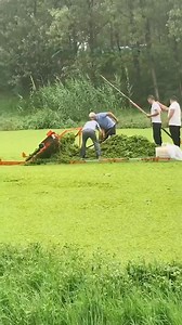 5 people are doing the work that one person would normally handle, and three of them are supervisors | Seethee