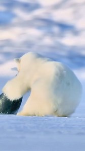 305K views · 3.1K reactions | Nature gallery on Reels | Facebook