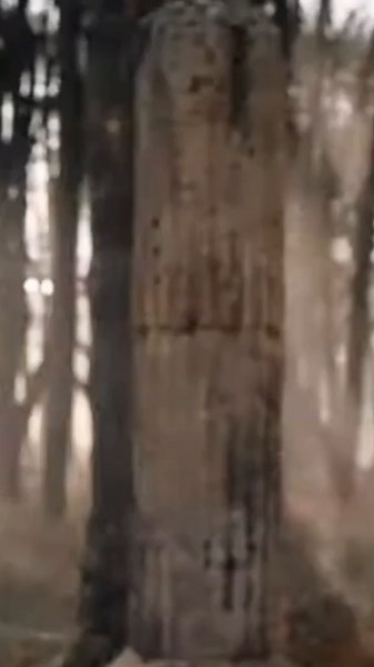 Matthew Goode: Downton Abbey Actor on A Discovery of Witches Season 2